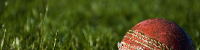 世界杯小组赛巴西队庆祝进球的瞬间