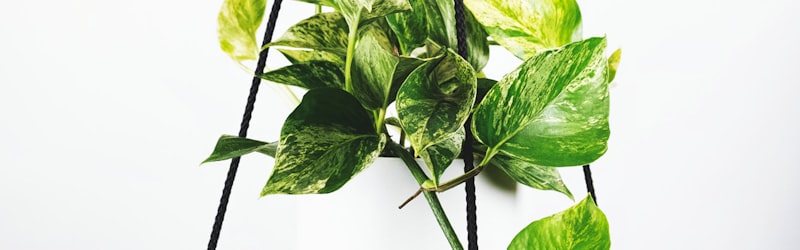 2026年世界杯官方新Logo与主办城市公布